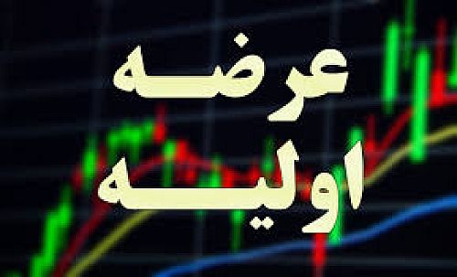 جزئیات عرضه اولیه جدید بورس اعلام شد